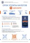 Срок уплаты налога