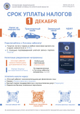 Срок уплаты налога
